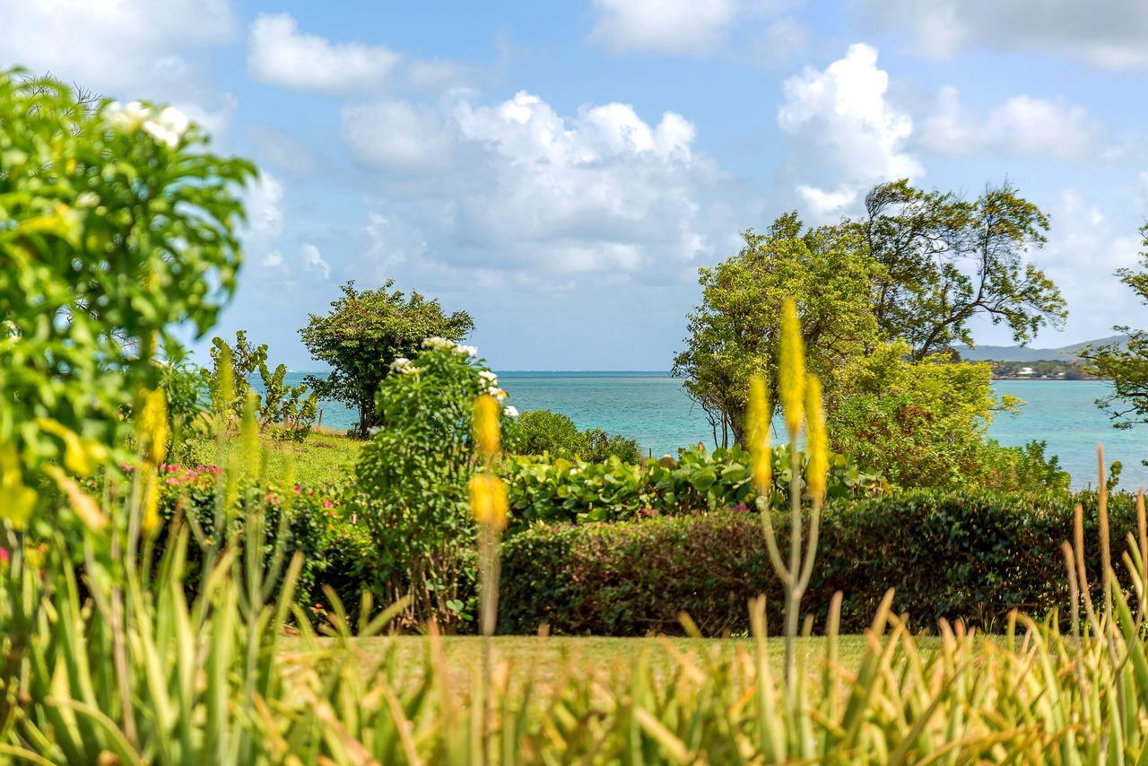 Villas Palm Le Vauclin Exterior photo